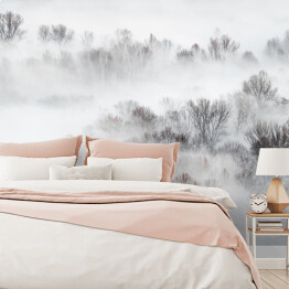 Fototapeta winylowa zmywalna Gęsta mgła nad lasem zimą
