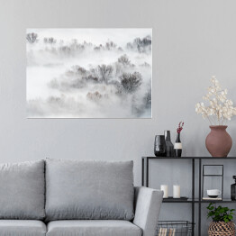 Plakat samoprzylepny Gęsta mgła nad lasem zimą