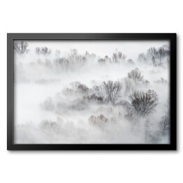 Obraz w ramie Gęsta mgła nad lasem zimą