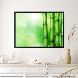 Obraz w ramie Zielony bambus