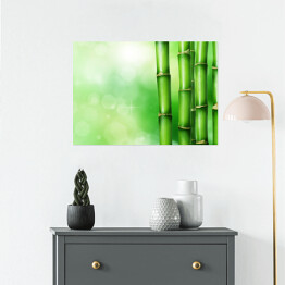 Plakat samoprzylepny Zielony bambus