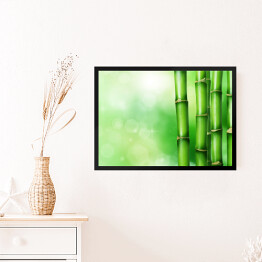 Obraz w ramie Zielony bambus