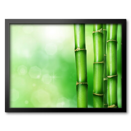 Zielony bambus