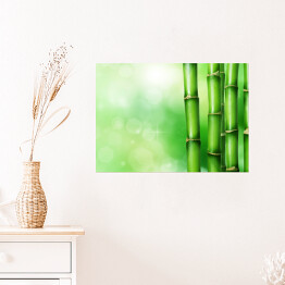 Plakat samoprzylepny Zielony bambus