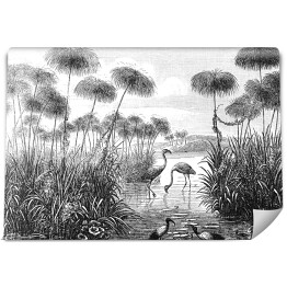Flamingi nad jeziorem w odcieniach koloru szarego