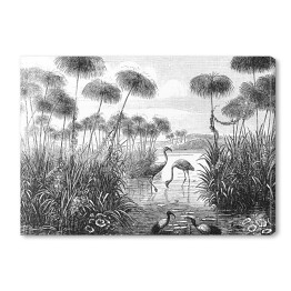 Obraz na płótnie Flamingi nad jeziorem w odcieniach koloru szarego