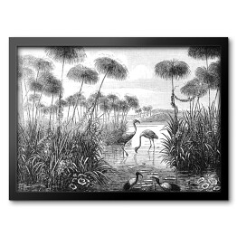 Obraz w ramie Flamingi nad jeziorem w odcieniach koloru szarego