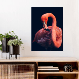Plakat samoprzylepny Zbliżenie na flaminga