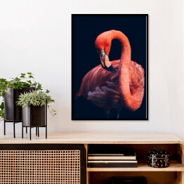 Plakat w ramie Zbliżenie na flaminga