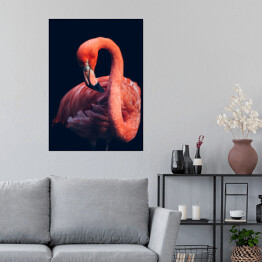 Plakat samoprzylepny Zbliżenie na flaminga