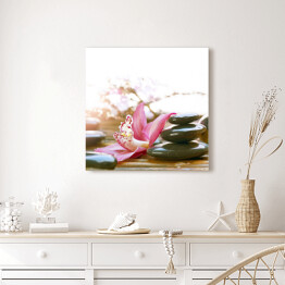 Obraz na płótnie Lśniące kamienie Spa przy różowych kwiatach