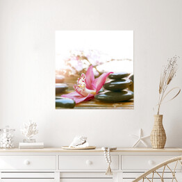 Plakat samoprzylepny Lśniące kamienie Spa przy różowych kwiatach