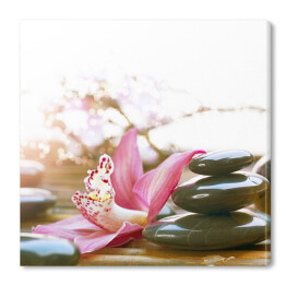 Obraz na płótnie Lśniące kamienie Spa przy różowych kwiatach