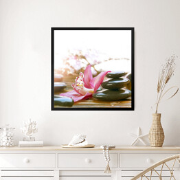 Obraz w ramie Lśniące kamienie Spa przy różowych kwiatach
