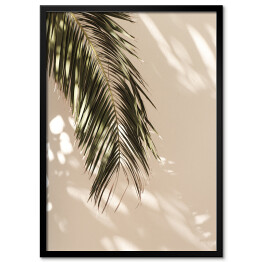 Plakat w ramie Liść palmowy piękne cienie na ścianie. Kreatywny, minimalny, stylizowany koncept dla blogerów.