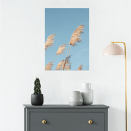 Plakat Liść trzciny neutralny na niebieskim tle nieba. Kreatywny, minimalny, stylizowany koncept dla blogerów.