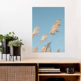 Plakat samoprzylepny Liść trzciny neutralny na niebieskim tle nieba. Kreatywny, minimalny, stylizowany koncept dla blogerów.