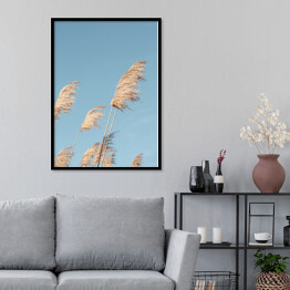 Plakat w ramie Liść trzciny neutralny na niebieskim tle nieba. Kreatywny, minimalny, stylizowany koncept dla blogerów.