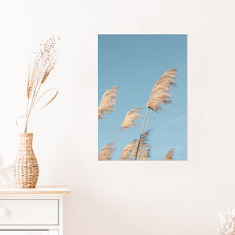 Plakat Liść trzciny neutralny na niebieskim tle nieba. Kreatywny, minimalny, stylizowany koncept dla blogerów.
