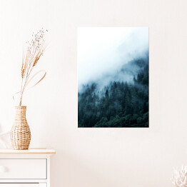 Plakat Ośnieżone drzewa na wzgórzu we mgle