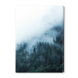 Obraz na płótnie Ośnieżone drzewa na wzgórzu we mgle