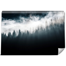 Fototapeta winylowa zmywalna Las w mgle i pochmurne niebo