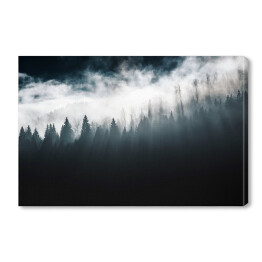 Obraz na płótnie Las w mgle i pochmurne niebo