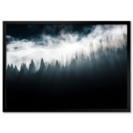 Plakat w ramie Las w mgle i pochmurne niebo