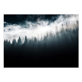 Plakat samoprzylepny Las w mgle i pochmurne niebo