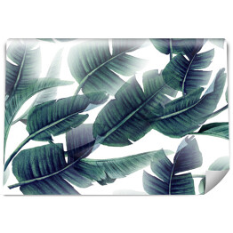 Fototapeta samoprzylepna Oświetlone egzotyczne liście 