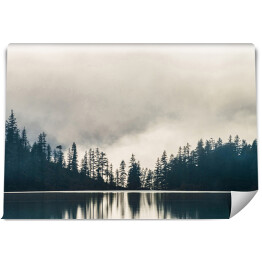 Fototapeta samoprzylepna Gęsty las nad wodą