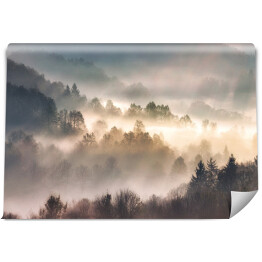 Fototapeta winylowa zmywalna Mgła w lesie z promieniami słońca, Woods krajobraz
