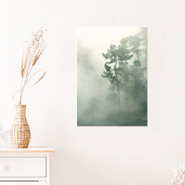 Plakat samoprzylepny Tropikalny las we mgle