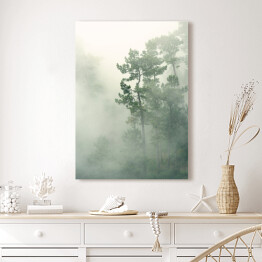 Obraz na płótnie Tropikalny las we mgle