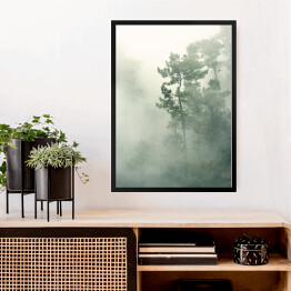 Obraz w ramie Tropikalny las we mgle