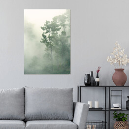 Plakat samoprzylepny Tropikalny las we mgle