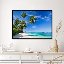 Plakat w ramie Tropikalna plaża z palmami