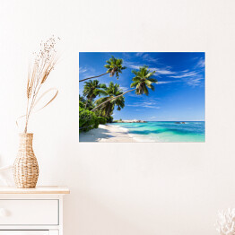 Plakat samoprzylepny Tropikalna plaża z palmami
