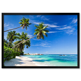 Plakat w ramie Tropikalna plaża z palmami