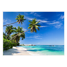 Plakat samoprzylepny Tropikalna plaża z palmami