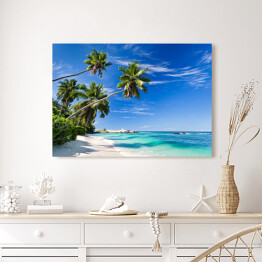 Obraz na płótnie Tropikalna plaża z palmami