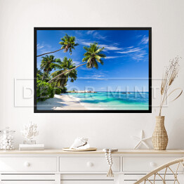 Obraz w ramie Tropikalna plaża z palmami