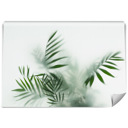 Fototapeta winylowa zmywalna Liście palmy we mgle