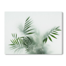 Obraz na płótnie Liście palmy we mgle