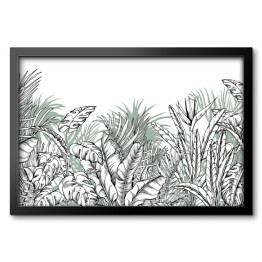 Obraz w ramie Zarys liści bananowca, palmy i monstery na białym tle