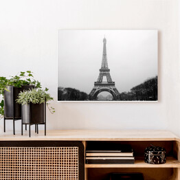 Obraz na płótnie Wieża Eiffla w pochmurny dzień w Paryżu