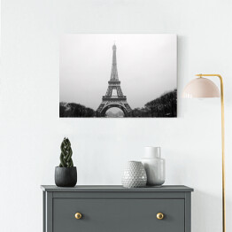 Obraz na płótnie Wieża Eiffla w pochmurny dzień w Paryżu