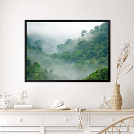 Obraz w ramie Mgła w lesie tropikalnym