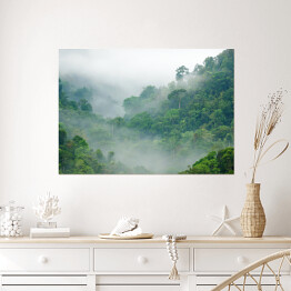 Plakat samoprzylepny Mgła w lesie tropikalnym