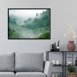 Plakat w ramie Mgła w lesie tropikalnym